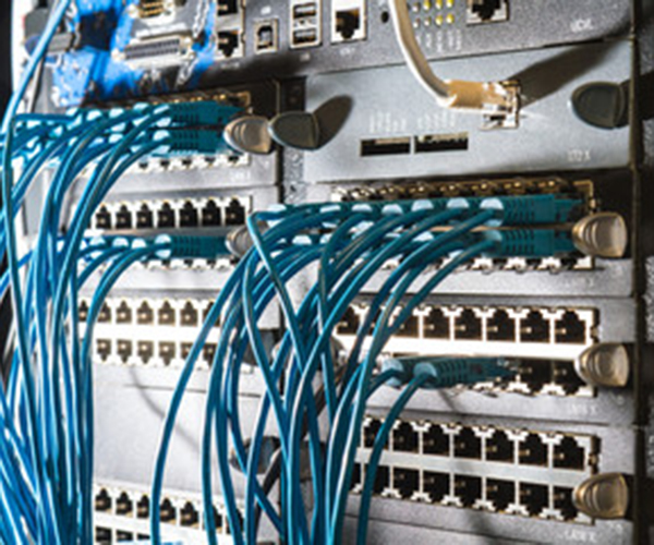 240_F_51836991_YUSOj242bf84j9NBd80oAV9EBcLjI8dh